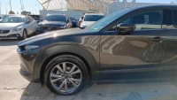 Mazda CX-30 e-SKYACTIV-G 2.0 90 kW 2WD Zenith