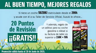 Coche SUZUKI matriculado desde 2004