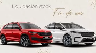 Liquidación stock fin de año