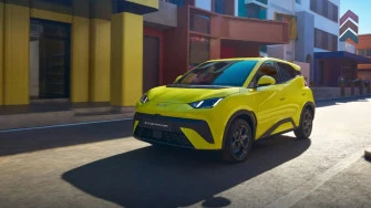 BYD Dolphin Surf para empresas