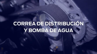 OFERTAS en Correa de distribución y Bomba de Agua