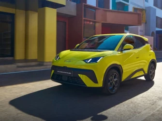 BYD Dolphin Surf para empresas