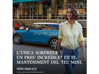 Mini Service
