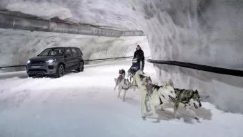Seis perros contra 294 caballos, la última prueba de Land Rover.