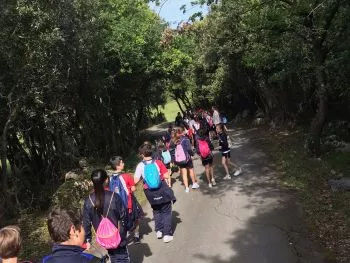 UBPI - 5ºprimaria "Camino de Santiago".