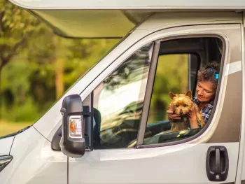 Consejos y Mejores Prácticas para Viajar con Mascotas en una Autocaravana