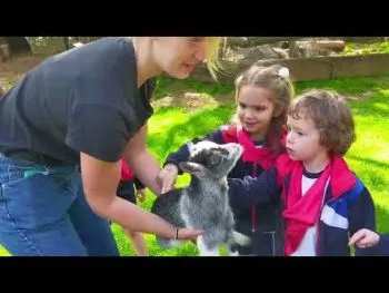 SALIDA. 1ºInfantil - 