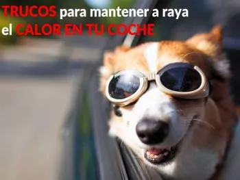 Trucos para mantener a raya el calor en tu coche