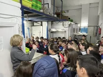 UBPI "EL MAR, LA MAR" - 4ºprimaria