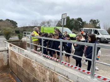 UBPI. 4º E. PRIMARIA - Desplastifícate