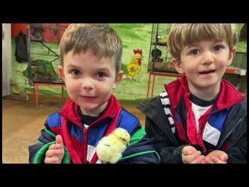 CONVIVE. 1º Infantil - Granja La Mina