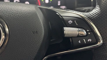 Skoda Kamiq 1.0 TSI 81kW (110CV) SCOUT