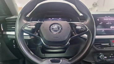 Skoda Kamiq 1.0 TSI 81kW (110CV) DSG Ambition