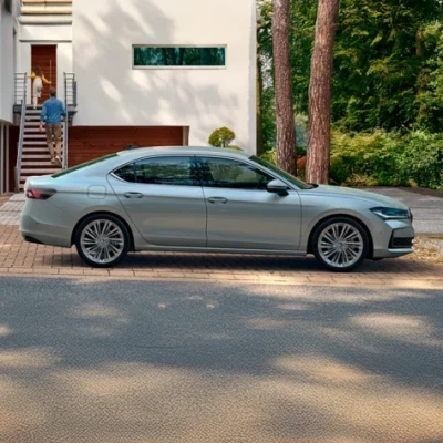 Garantía de pintura