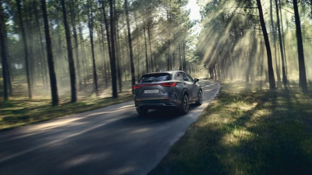 CATALOGOS LEXUS