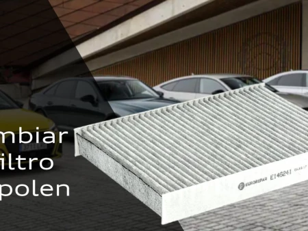 ¿Cómo mantener en perfecto estado el filtro antipolen?