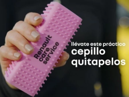 El accesorio definitivo para tu coche y tu mascota