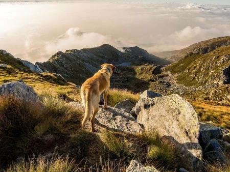 Destinos Subaru: Paraje Torcal de Antequera con tu mascota