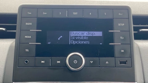 Renault Clio Business TCe 74 kW (100CV) GLP