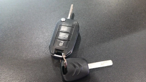 Citroën C-Elysée BlueHDi 73KW (100CV) Feel