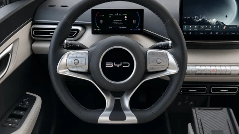 BYD DOLPHIN SURF Comfort