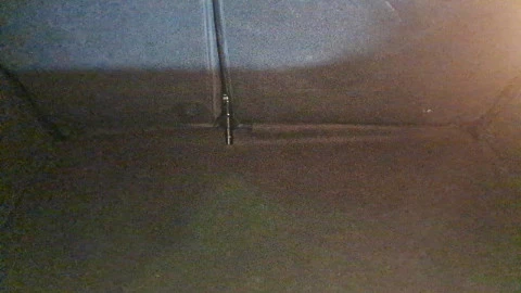 Renault Clio Business TCe 67 kW (90CV)