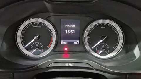 Skoda Kodiaq 2.0 TDI 110 kW (150CV) AdBlue DSG 4x4