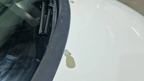 Volkswagen Golf Plus 1.6 Highline