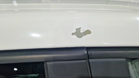 Volkswagen Golf Plus 1.6 Highline