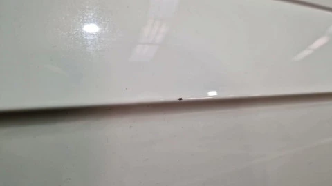 Volkswagen Polo Edition 1.0 59kW (80CV)