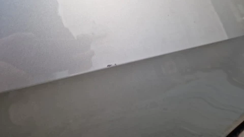 Volkswagen Golf Advance 2.0 TDI 110kW (150CV) DSG