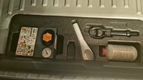 Ford Ecosport 1.0T EcoBoost 92kW (125CV) S&S ST Line