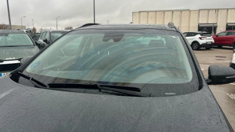 Kia Sportage 1.6 MHEV Black Edition 100kW (136CV) 4x2