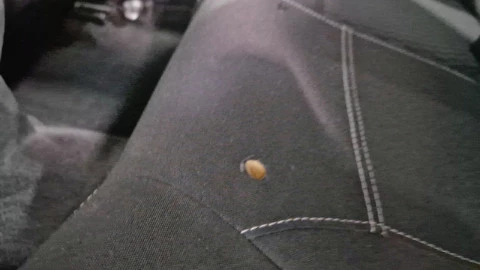 Peugeot 208 5P ACTIVE 1.6 BlueHDi 75