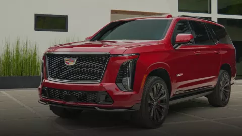 ESCALADE V