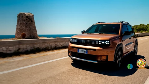 Grande Panda Híbrido