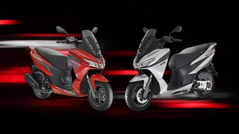 SXR