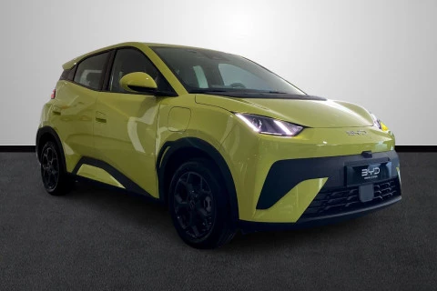 BYD DOLPHIN SURF Boost