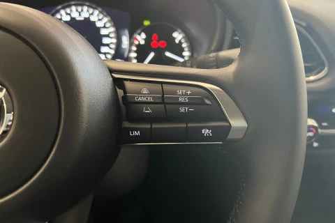 Mazda CX-30 e-SKYACTIV G Homura