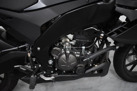 Aprilia Tuono 125 