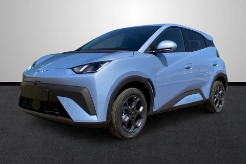 BYD Dolphin Surf Comfort