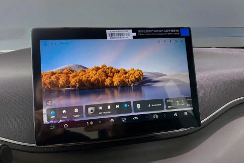 BYD DOLPHIN SURF Boost
