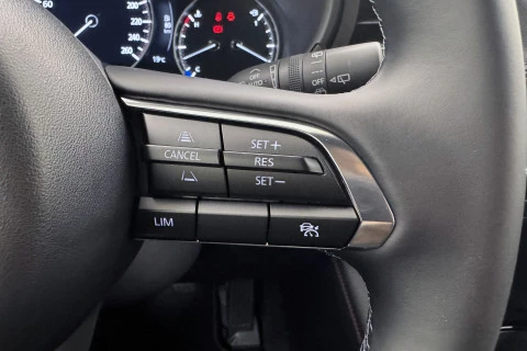 Mazda3 2.5L E-SKY G MHEV 103kW Homura