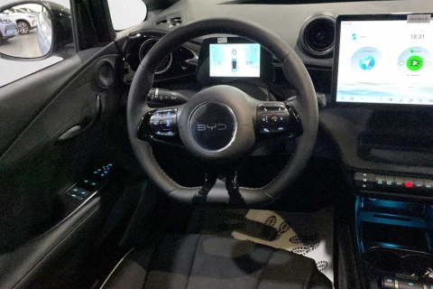 BYD DOLPHIN Design