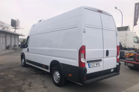 Opel Movano frio
