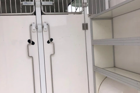 Renault Trucks Master MASTER 170 C.V.+FURGONETA DE CABALLOS