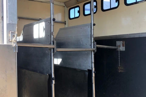 Mercedes-Benz Axor 1823 L TRANSPORTE DE CABALLOS