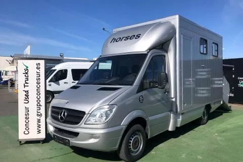 Mercedes-Benz SPRINTER 315 + TRANSPORTE CABALLOS