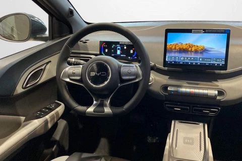 BYD DOLPHIN SURF Comfort