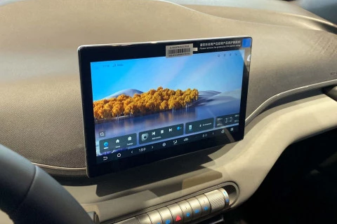 BYD DOLPHIN SURF Comfort